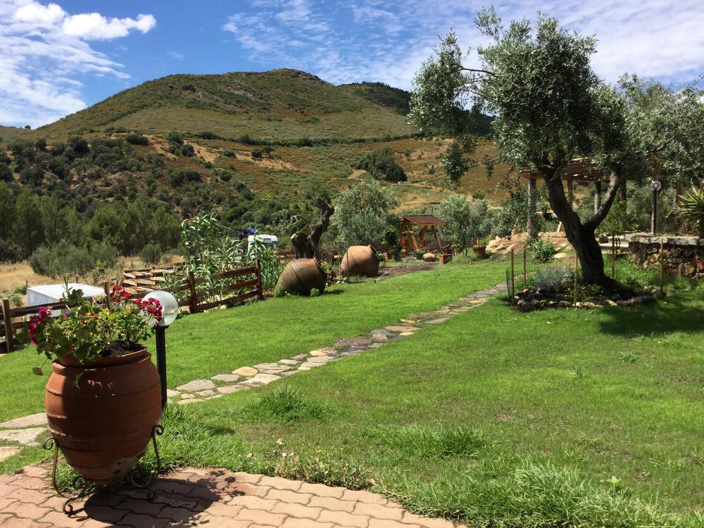 Bed and Breakfast Il Giardino Di Daniela Сан-Теодоро Екстер'єр фото